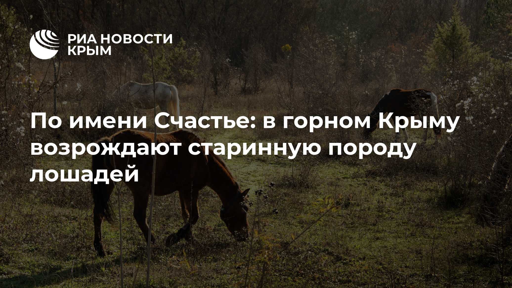 crimea.ria.ru