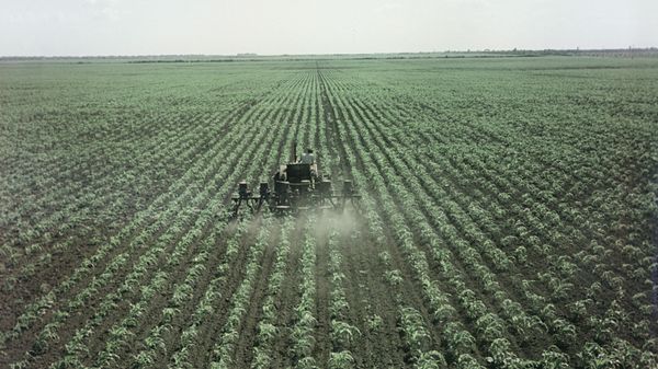 сельское хозяйство сельское хозяйство