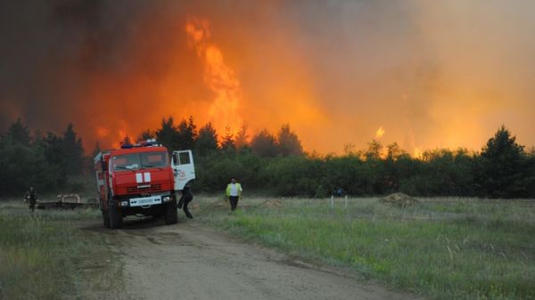 Лесные пожары в Ростовской области Лесные пожары в Ростовской области