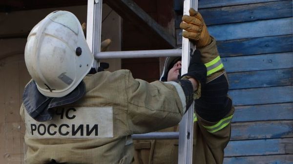 Спасатели с пожарной лестницей