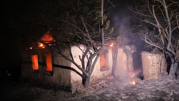 В Ростовской области сгорели сотни гектаров леса
