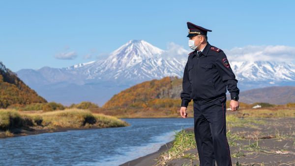 Полиция проверяет информацию о загрязнении воды и гибели морских животных на Камчатке
