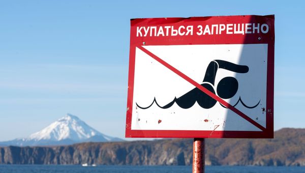 Рейд по берегу Авачинского залива на Камчатке