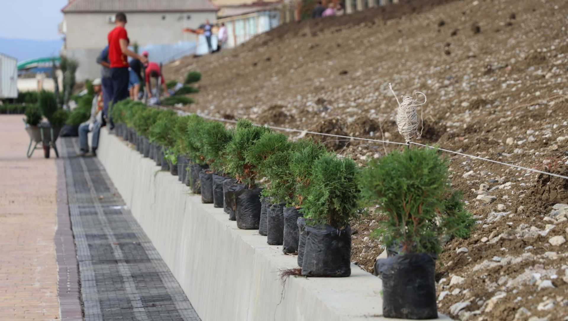 Реконструкция набережной в Приморском Реконструкция набережной в Приморском - РИА Новости, 1920, 22.10.2020