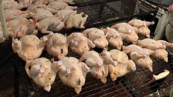В Крыму сожгли тонну просроченных тушек кур и уток