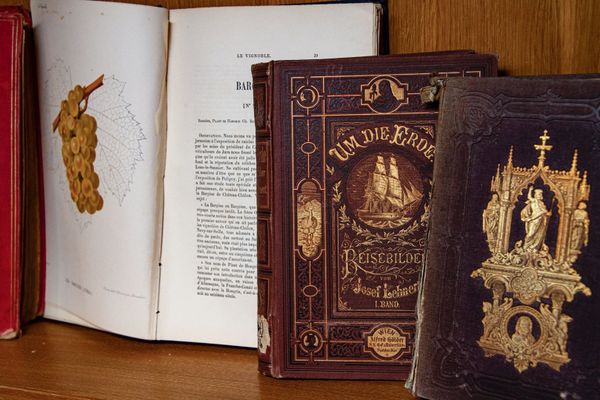 Здесь представлена книга от ее возникновения – рукописных вариантов до современного книгопечатания.