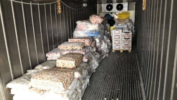 На консервном заводе в Крыму нашли более 5 тонн опасных продуктов На консервном заводе в Крыму нашли более 5 тонн опасных продуктов