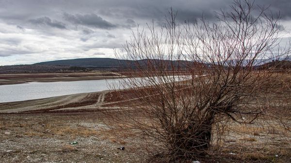 На Симферопольском водохранилище