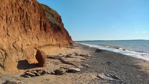 Дикий пляж в Николаевке