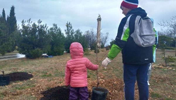 Акция Сад памяти в Севастополе Акция Сад памяти в Севастополе