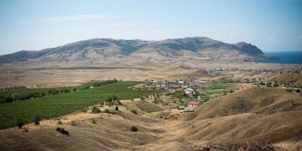 Секреты виноделов Крыма. Часть первая Секреты виноделов Крыма. Часть первая