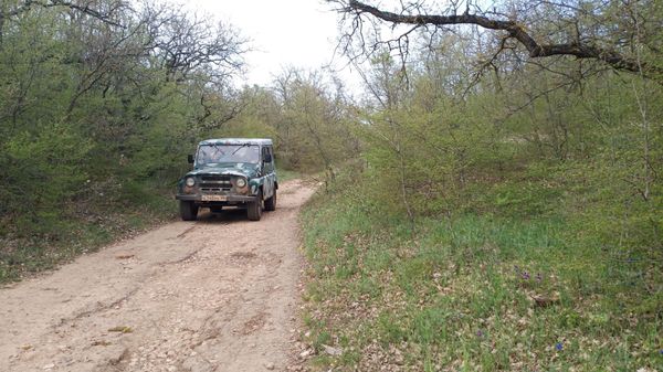 Лесная дорога, Мекензиевы горы