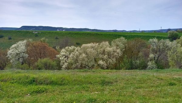 Между селами Холмовка и Красный Мак