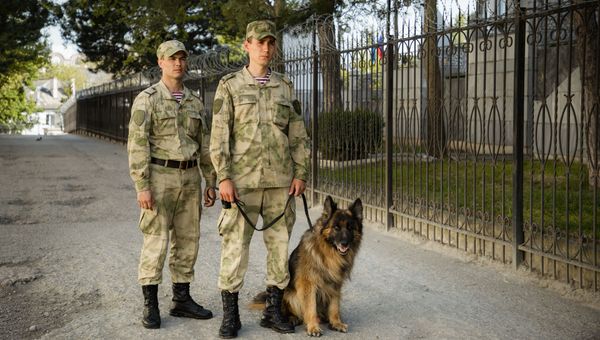 В Симферополе росгвардейцы-кинологи задержали закладчика наркотиков