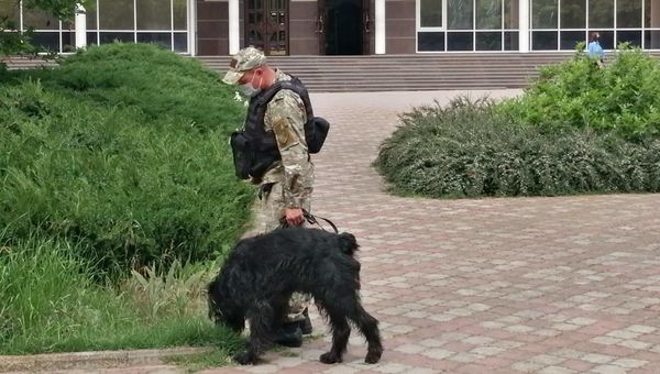 Кинолог обследует территорию возле Крымского федерального университета после сообщения о минировании