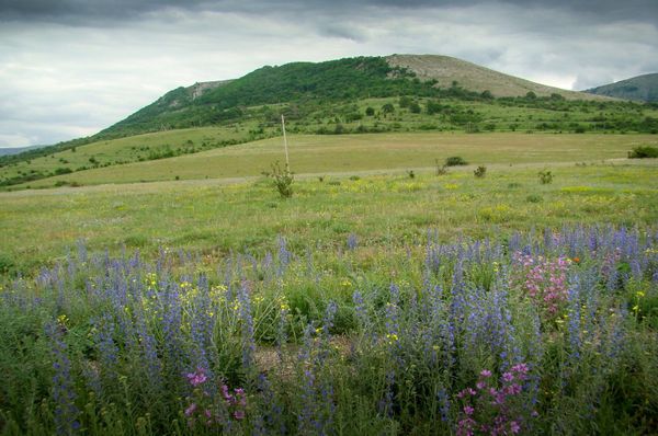 Чемпионат Крыма по парапланеризму