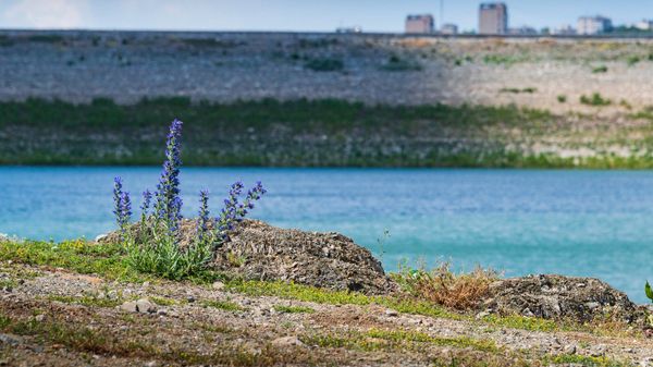 Симферопольское водохранилище