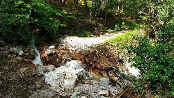 На ЮБК временно закрыты туристические тропы