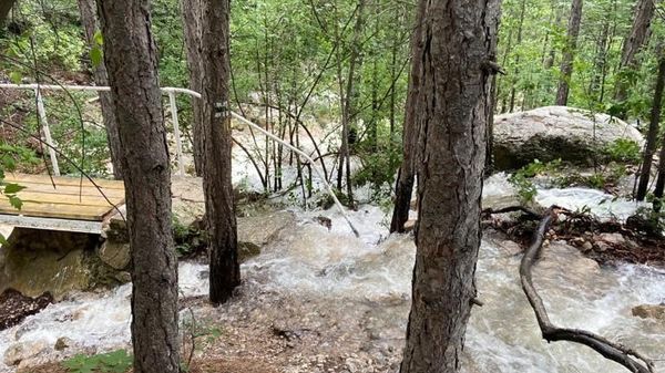 Знаменитые заповедные тропы во время паводка