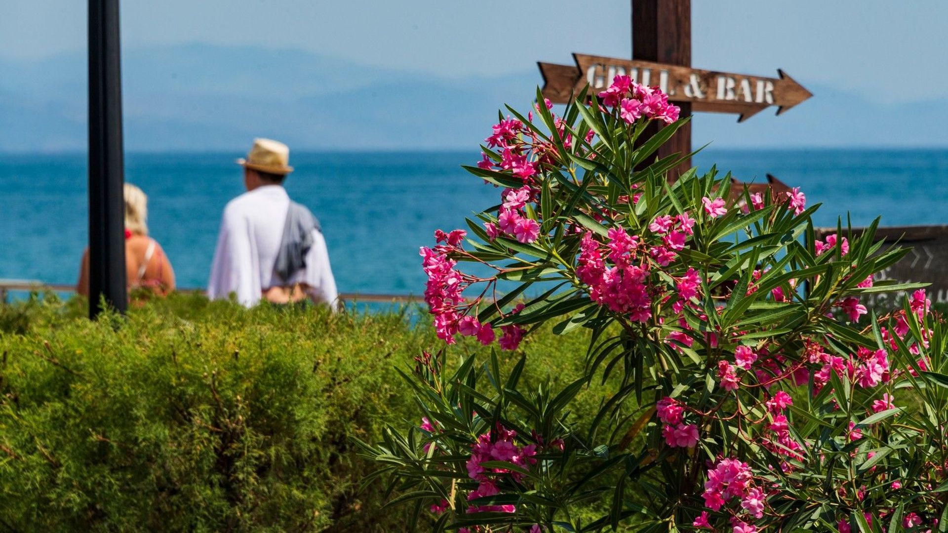 На пляже в Алуште - РИА Новости, 1920, 26.06.2022