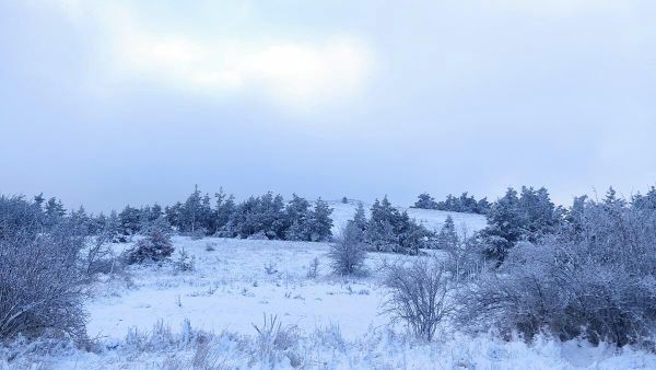 Снег на Ай-Петри. 10 ноября 2021 года