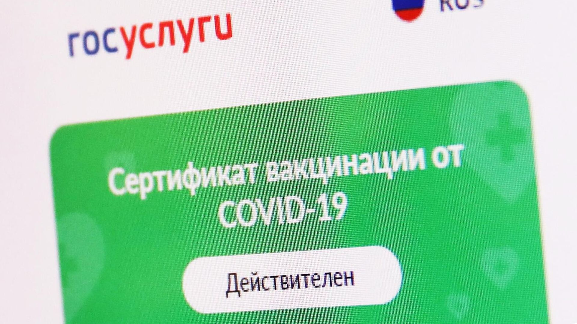 Проверка QR-кодов в музеях Краснодара - РИА Новости, 1920, 16.11.2021