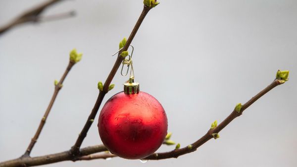 Дождь на Новый год в Крыму