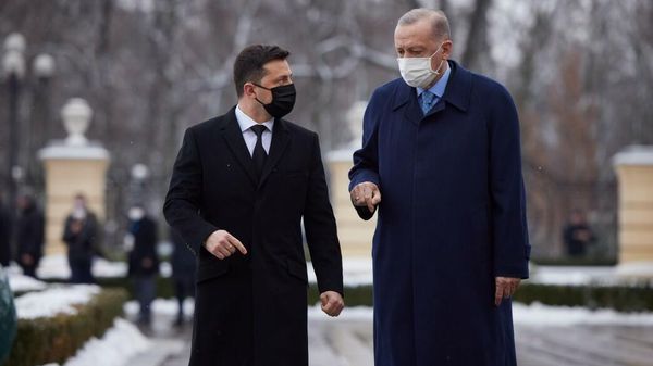 Президенты Украины и Турции Владимир Зеленский и Реджеп Эрдоган