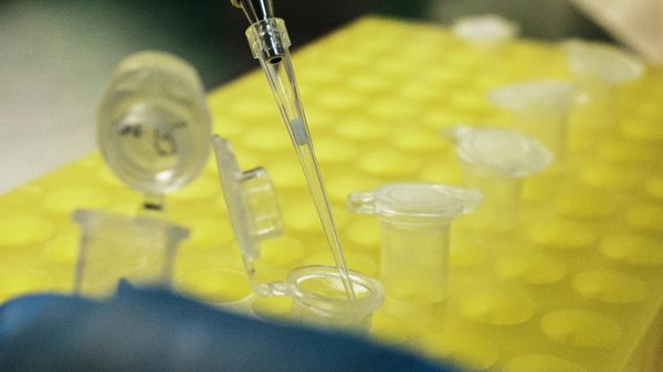 Диагностический центр лабораторных исследований в Москве