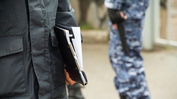 В Севастополе обнаружен еще один мертвый дельфин – полиция начала проверку