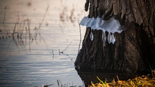 На Симферопольском водохранилище