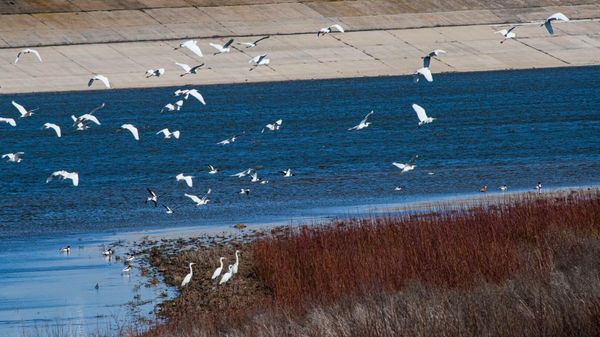Межгорное водохранилище