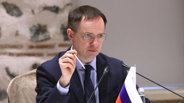 Помощник президента РФ Владимир Мединский