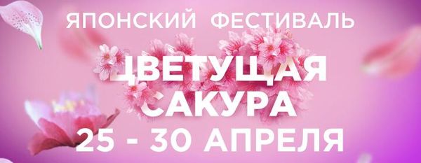 Фестиваль Цветущая сакура стартует в Крыму 27 апреля Фестиваль Цветущая сакура стартует в Крыму 27 апреля