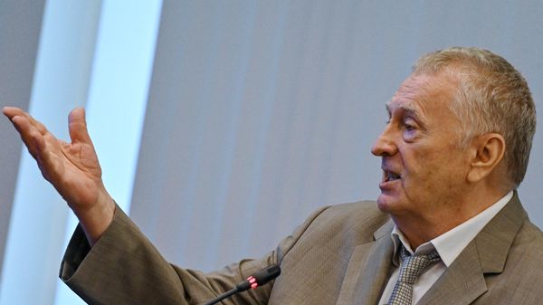 Руководитель фракции ЛДПР в Государственной Думе РФ Владимир Жириновский 
