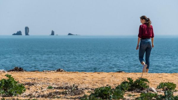 В Опукском природном заповеднике