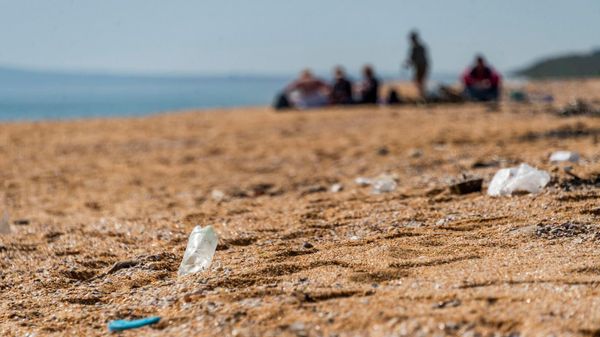 Мусор на пляже в Опукском природном заповеднике
