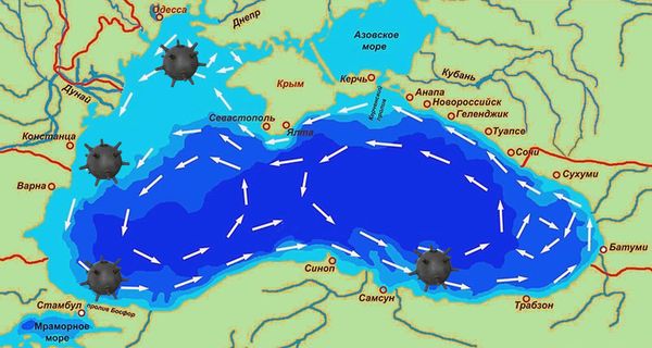 Основное Черноморское течение дрейфующие предметы несет вдоль берега против часовой стрелки