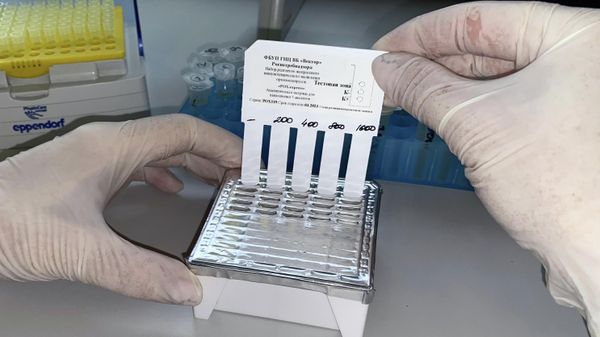 Тест-система для выявления случаев заражения оспой обезьян