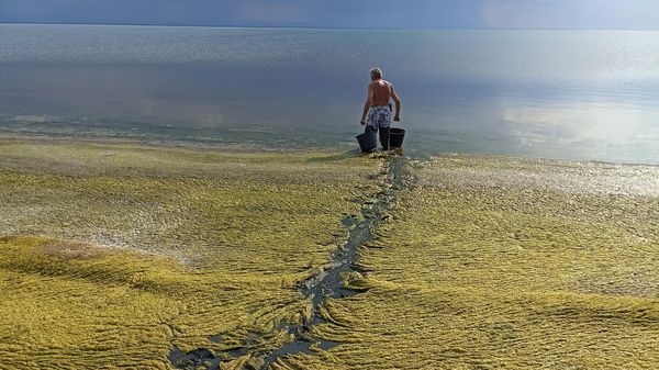 Загрязнение водоема Загрязнение водоема