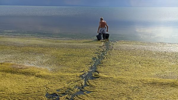Экспедиция на Северо-Крымский канал, залив Сиваш и озеро Акташское