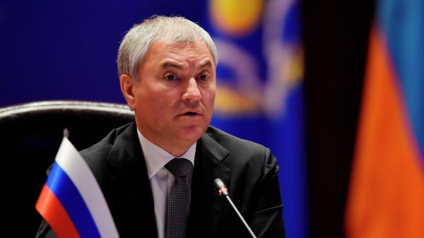 Председатель Государственной Думы РФ Вячеслав Володин