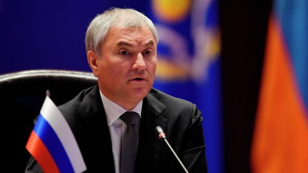 Председатель Государственной Думы РФ Вячеслав Володин