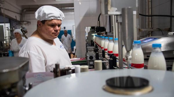Производство молочной продукции на молокозаводе  в Джанкое