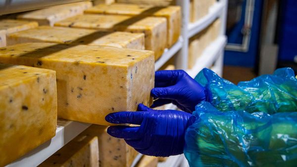 Производство молочной продукции на молокозаводе НОВАТОР в Джанкое