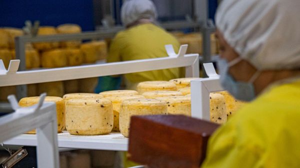 Производство молочной продукции на молокозаводе НОВАТОР в Джанкое