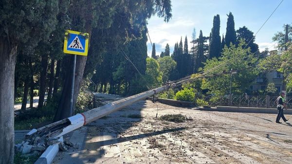 Последствия ураганного ветра в Ялте