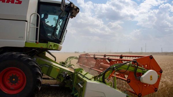 Уборка зерновых в Запорожской области