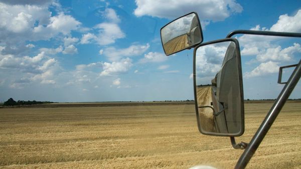Уборка зерновых в Запорожской области