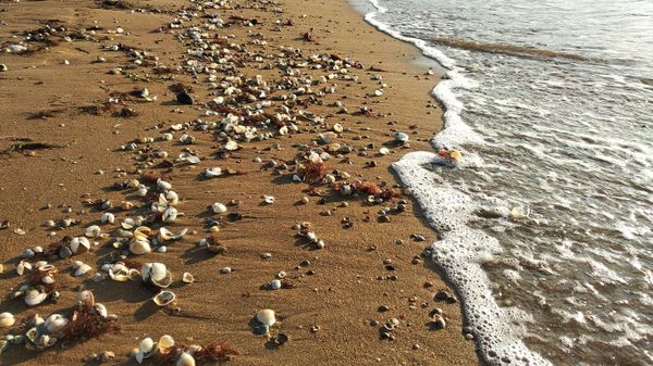 Песчаные пляжи Азовского моря